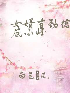 女婿有劲枪枪到底小峰