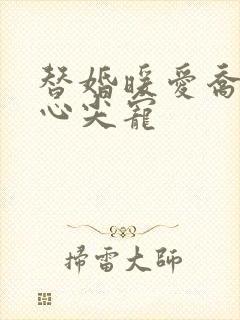 替婚暖爱乔少的心尖宠