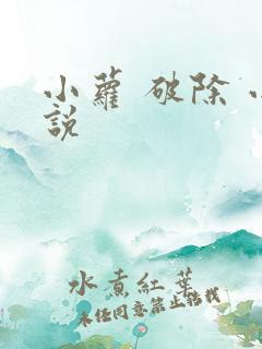 小萝 破除 小说