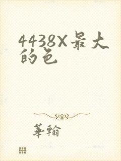 4438X最大的色