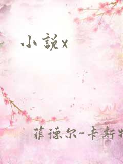 小说x