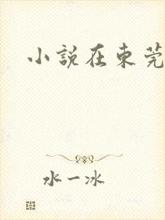 小说在东莞