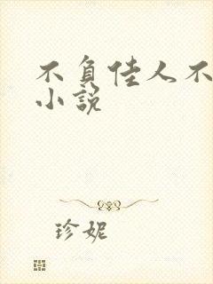 不负佳人不负卿小说