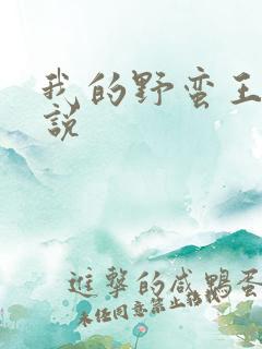 我的野蛮王妃小说