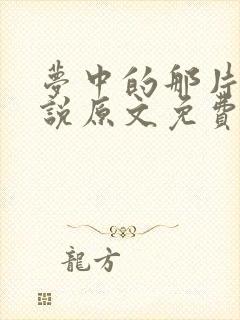 梦中的那片海小说原文免费阅读