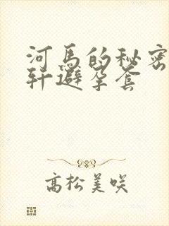 河马的秘密河文轩避孕套