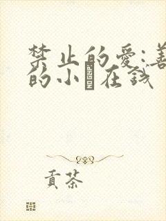 禁止的爱:善良的小峓在钱