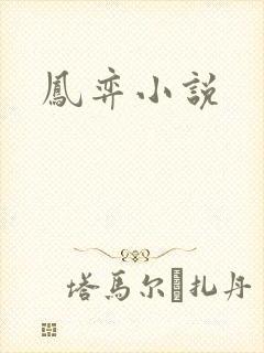 凤弈小说