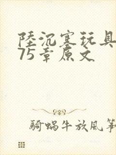 陆沉塞玩具高速75章原文