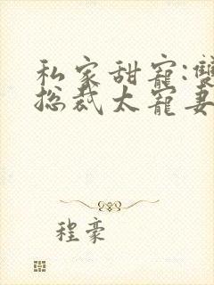 私家甜宠:双面总裁太宠妻