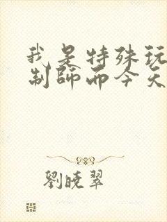 我是特殊玩具定制师而今天的客户