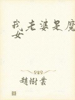 我老婆是魔法少女