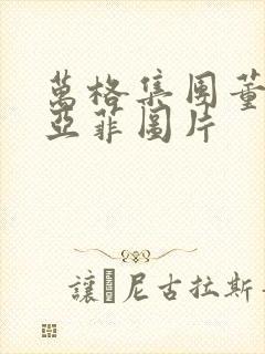 万格集团董事李亚菲图片