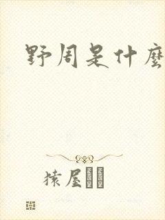 野周是什么意思