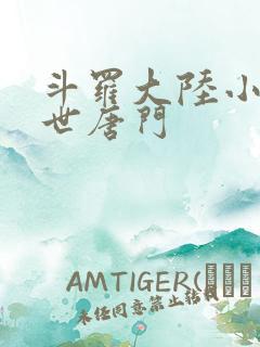 斗罗大陆小说绝世唐门