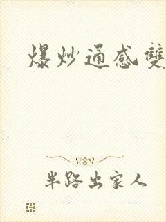 爆炒通感双胞胎