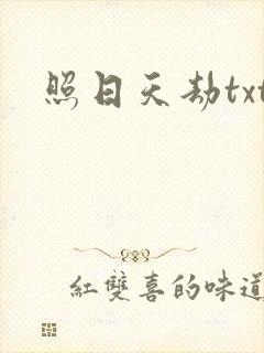 照日天劫txt