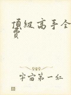 顶级高手全文免费