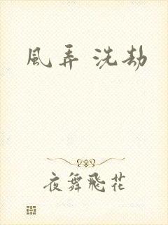 风弄 洗劫