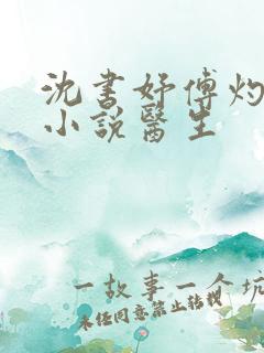 沈书妤傅灼抖音小说医生