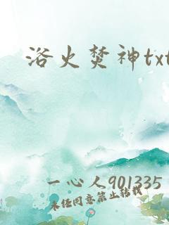 浴火焚神txt