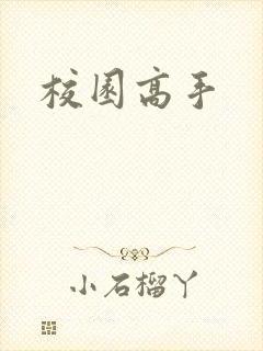 校园高手