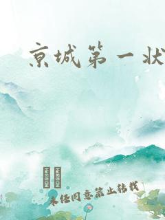 京城第一状师