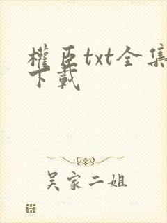 权臣txt全集下载