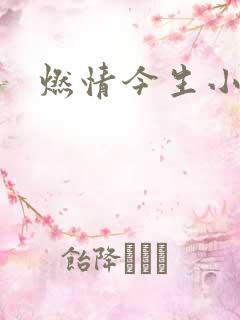 燃情今生小说