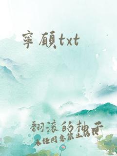 宁愿txt