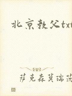 北京教父txt