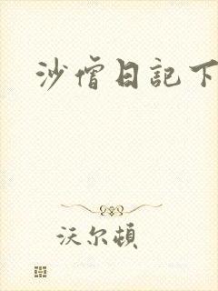 沙僧日记下载
