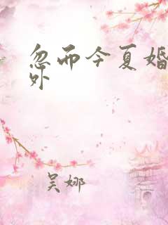 忽而今夏婚后番外