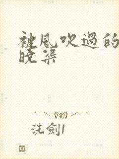 被风吹过的夏天晓渠