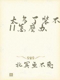 太多了装不下h11怎么办