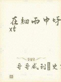 在细雨中呼喊txt