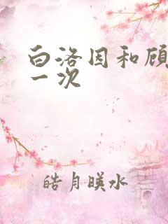 白洛因和顾海第一次