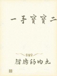 一手宝宝二手妻