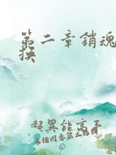 第二章销魂的交换