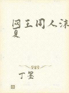 网王同人沫凉之夏