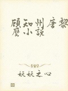 顾知州唐黎叫什么小说