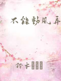 不能动风弄