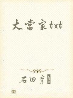 大当家txt