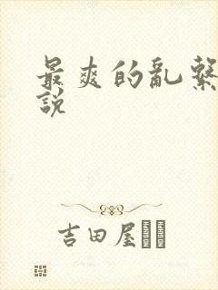 最爽的乱系列小说