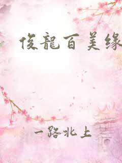 俊龙百美缘小说