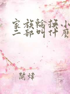家族轮换小说第二部叫什么名字