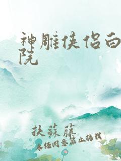 神雕侠侣白鹿书院