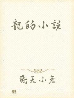 龙的小说