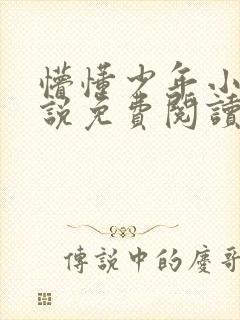 懵懂少年小兵小说免费阅读