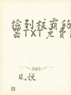 捡到校霸的遥控器TXT免费阅读